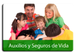 seguros1